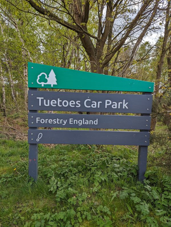 Laughton Woods